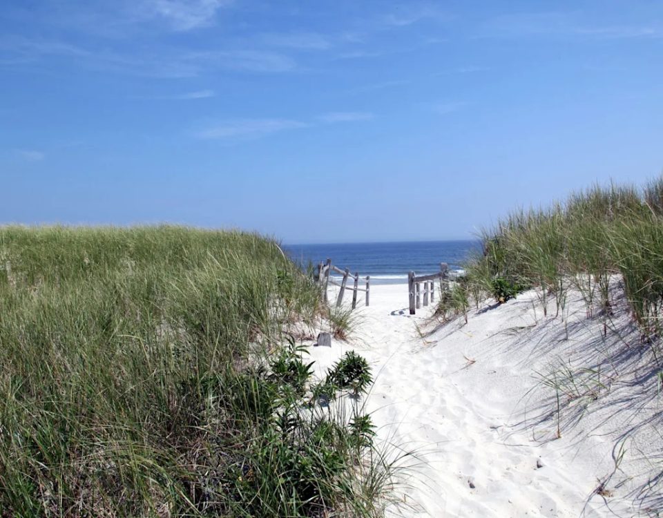 2 BÃI BIểN New Jersey Có Tênn Là Những Vin Đá Quý Tr