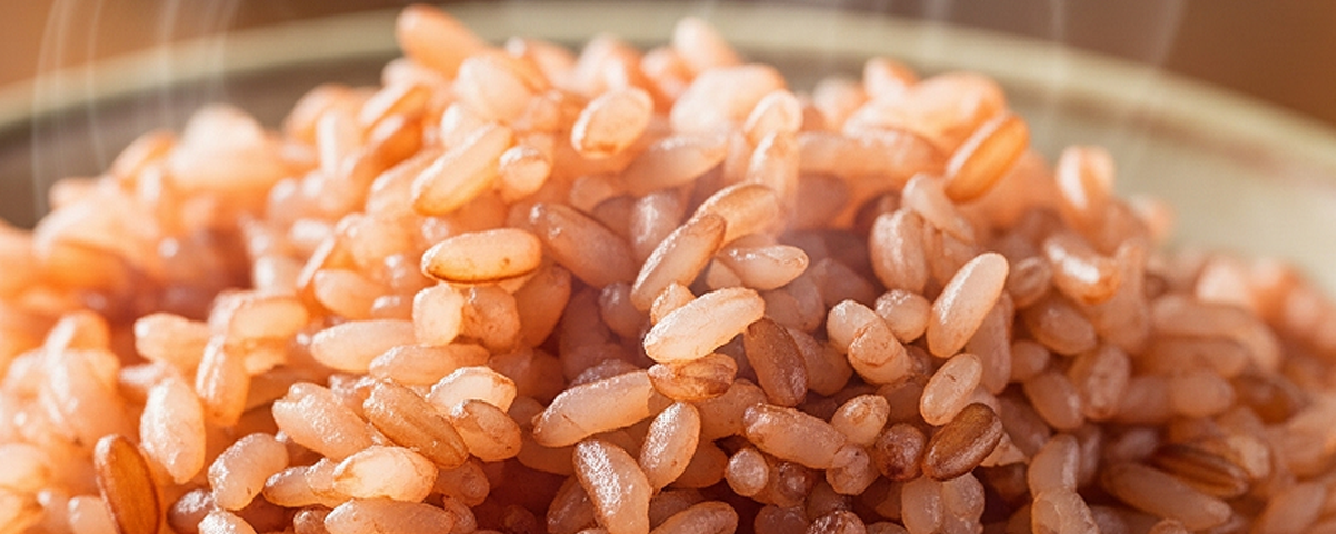 Các loại ngũ cốc họ