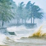 Bão Số 5 MạNH ĐếN Cấp 14 Quần thảo