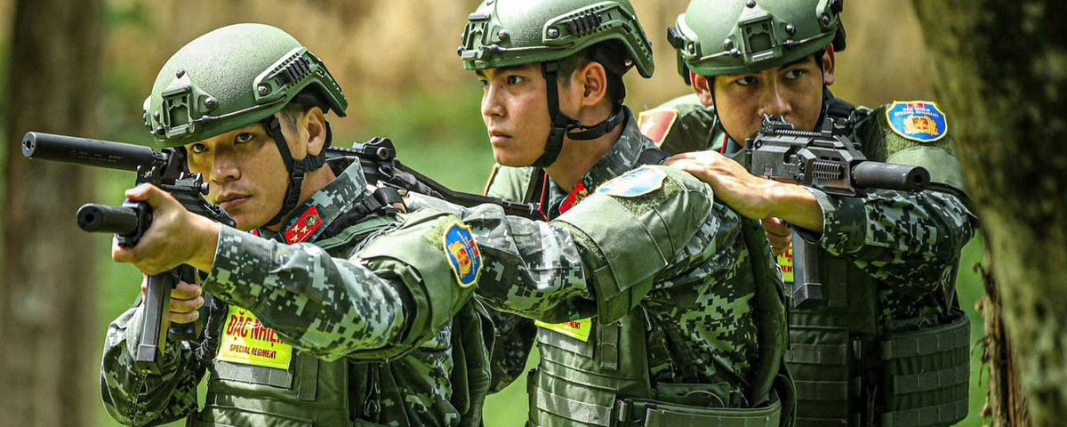 Lợn Đoàn ĐặC Nhiệm Bố Trí nhiều Mũi Tács