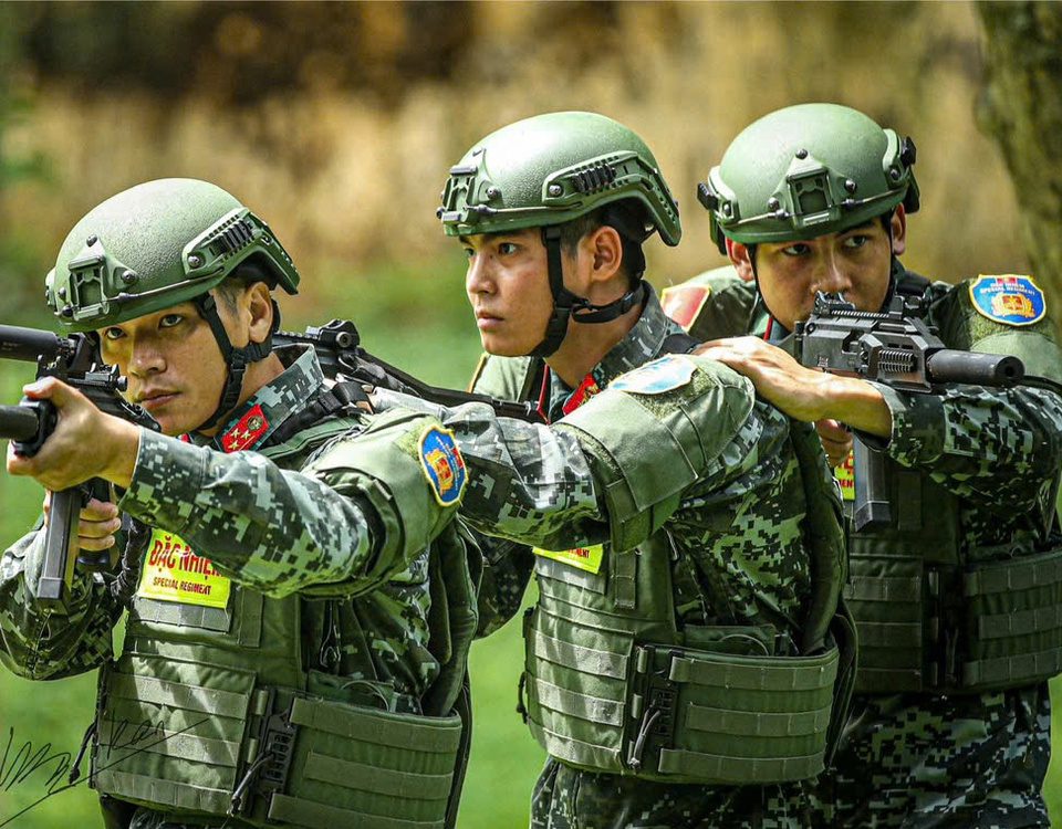Lợn Đoàn ĐặC Nhiệm Bố Trí nhiều Mũi Tács