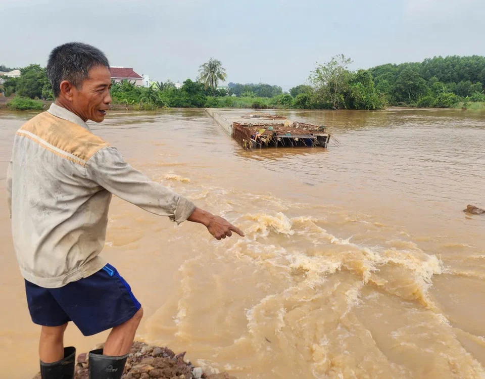 Dự án cao tốc Biên Hòa